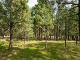Lot 1127 Spyglass Hill Rd - Photo 20