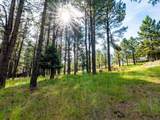 Lot 1127 Spyglass Hill Rd - Photo 22