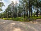 Lot 1127 Spyglass Hill Rd - Photo 23