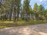 Lot 1127 Spyglass Hill Rd - Photo 25