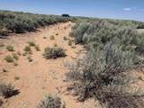 LOT 12 Barrancas - Photo 8