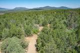 00 Forest Rd 9 - Photo 16
