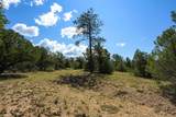 00 Forest Rd 9 - Photo 3