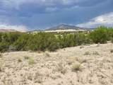 TBD Buffalo Trail - Photo 16