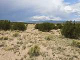 TBD Buffalo Trail - Photo 17