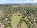  Lower Ojito Road 17 Acres - Photo 10