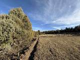  Lower Ojito Road 17 Acres - Photo 4