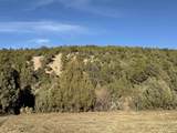  Lower Ojito Road 17 Acres - Photo 5