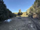  Lower Ojito Road 17 Acres - Photo 7