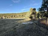  Lower Ojito Road 17 Acres - Photo 8