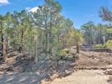 Lot 83 Upper Pinabete Road - Photo 2