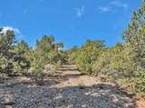 Lot 83 Upper Pinabete Road - Photo 4