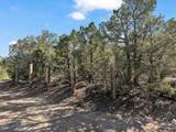 Lot 83 Upper Pinabete Road - Photo 5