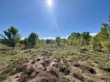  Lower Ranchitos Road 2 Plus Acres - Photo 19