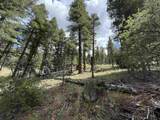 Lot 123 Valley Rd - Photo 6