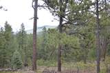 TBD Rincon Road - Photo 2