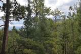 TBD Rincon Road - Photo 6