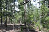 TBD Rincon Road - Photo 8