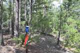 TBD Rincon Road - Photo 9