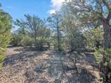 Lot 83 and 84 Upper Pinabete Road - Photo 14
