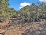 Lot 83 and 84 Upper Pinabete Road - Photo 7