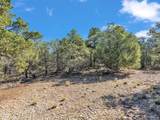 Lot 83 and 84 Upper Pinabete Road - Photo 8
