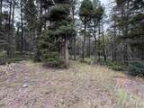 Lot 173 Snowbird Ln - Photo 1