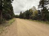 Lot 173 Snowbird Ln - Photo 2
