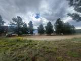 Lot 4 N Valle Grande Trl - Photo 10