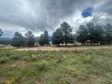 Lot 4 N Valle Grande Trl - Photo 9