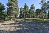 Lot 324 Vail Overlook - Photo 4