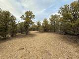  Canoncito Lane Turley Mill Lot 7 - Photo 6