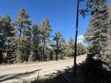 Lot 38 Vail Ave - Photo 4