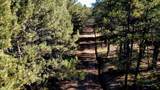 Lot 7 Pine Valley Drive - Photo 10