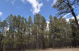 Lot 7 Pine Valley Drive - Photo 2