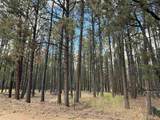 Lot 7 Pine Valley Drive - Photo 4