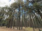 Lot 7 Pine Valley Drive - Photo 5