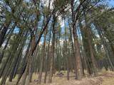 Lot 7 Pine Valley Drive - Photo 6