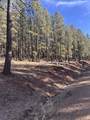 Lot 88 Mammoth Mountain Rd - Photo 1
