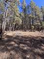 Lot 88 Mammoth Mountain Rd - Photo 4