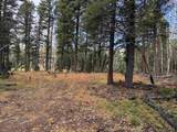 Lot 15 Vermejo Cir - Photo 11