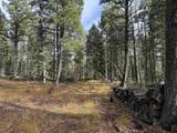 Lot 15 Vermejo Cir - Photo 4