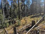Lot 173 Taos Dr - Photo 10