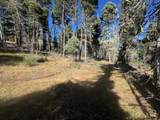 Lot 173 Taos Dr - Photo 12