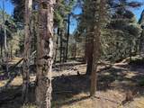 Lot 173 Taos Dr - Photo 15