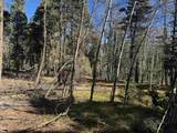 Lot 173 Taos Dr - Photo 3