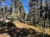 Lot 173 Taos Dr - Photo 5