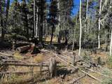 Lot 173 Taos Dr - Photo 9