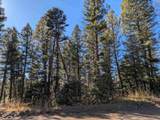 Lot 1369 Skyview Way - Photo 3