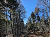 Lot 1369 Skyview Way - Photo 5